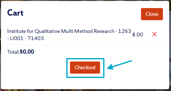 Shopping cart review showing course and Checkout button
